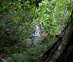 Bird watching in the Quistococha Tourist Complex